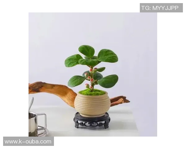 盆栽绿意生活:如何通过家居植物营造舒适自然的室内环境 盆栽绿意生活:如何通过家居植物营造舒适自然的室内环境